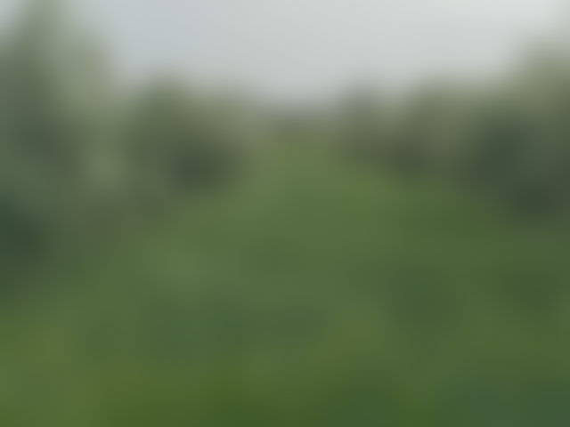 Ferme agricole de 2 hectares sur la Route de Fès à Marrakech — 2