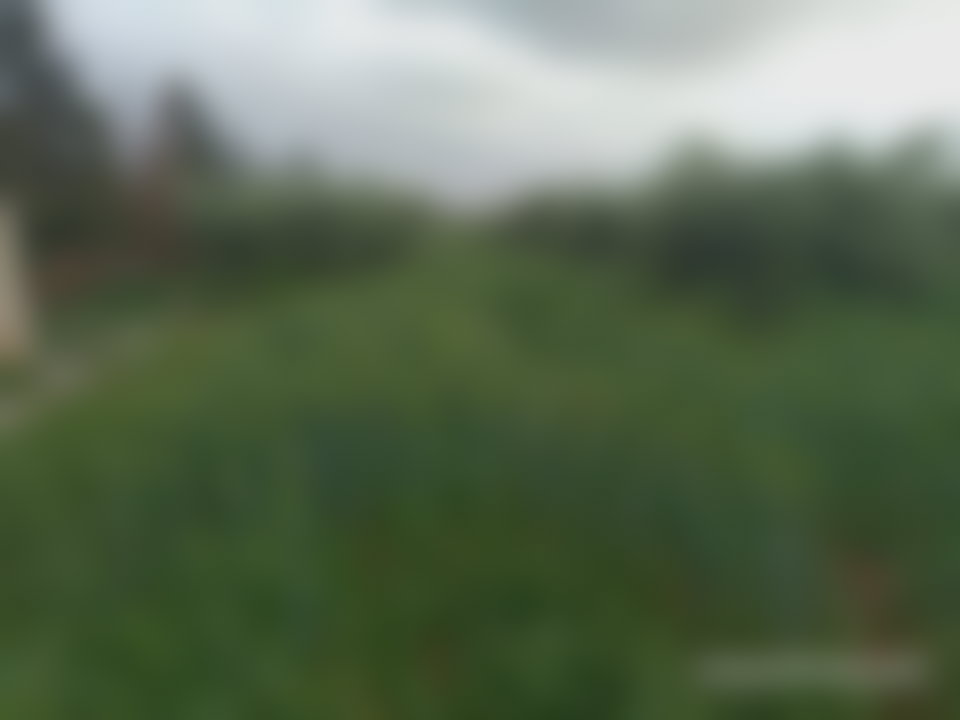 Ferme agricole de 2 hectares sur la Route de Fès à Marrakech