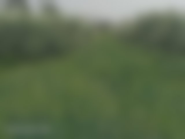 Ferme agricole de 2 hectares sur la Route de Fès à Marrakech — 3