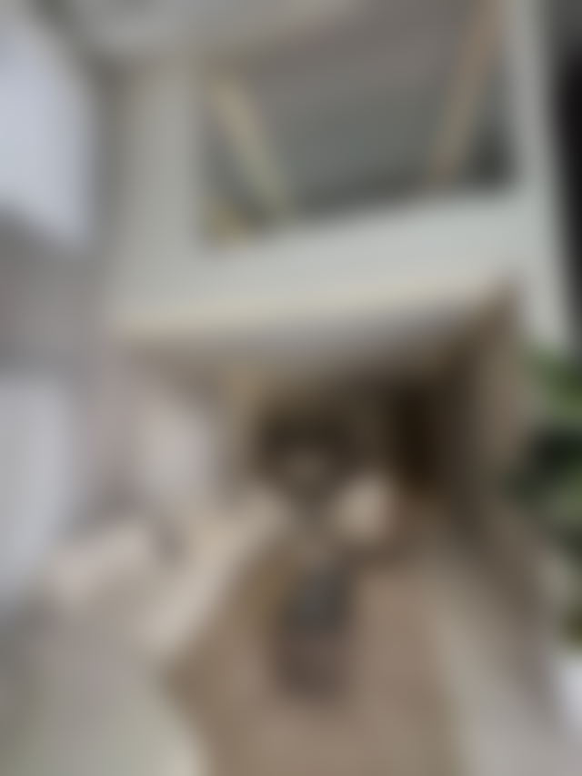 Apartment with Private Garden for Sale in Riviera, Casablanca — Casablanca