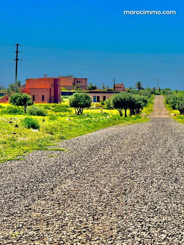 Exceptionnel terrain titré 1 hectare, idéal projet villa — 5