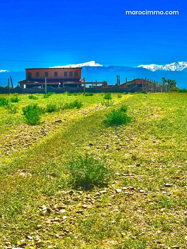 Exceptionnel terrain titré 1 hectare, idéal projet villa — 3