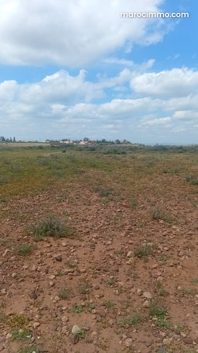 Vente terrain d'un hectare route Amizmiz Marrakech — 3