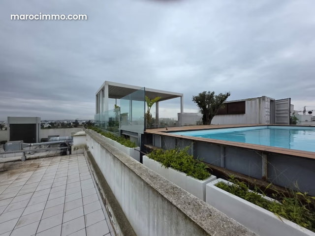 4 Floors for Rent in a Professional Building — 3