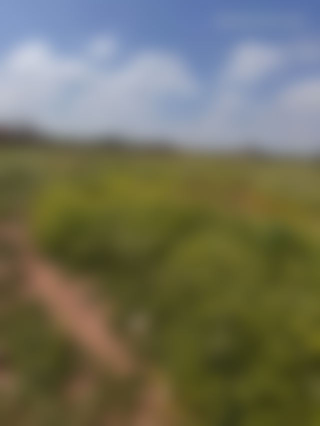 6-hectare plot on the Ourika Road, Marrakech, buildable SD1 zone — Marrakesh