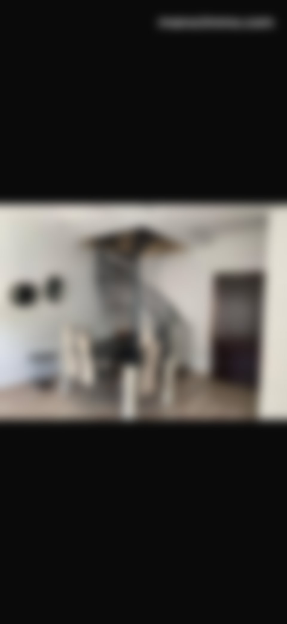 Appartement meublé avec vue mer à Val Fleuri Casablanca