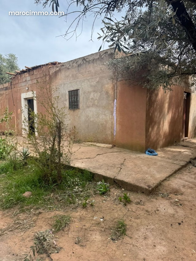 12 ha titled – potential 12 villas — 4