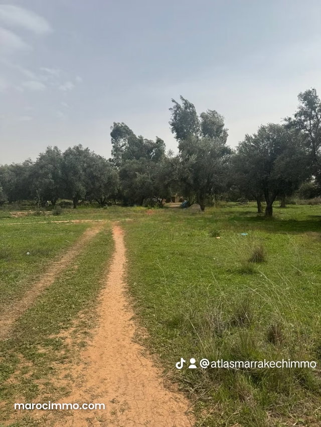12 ha titled – potential 12 villas — 2