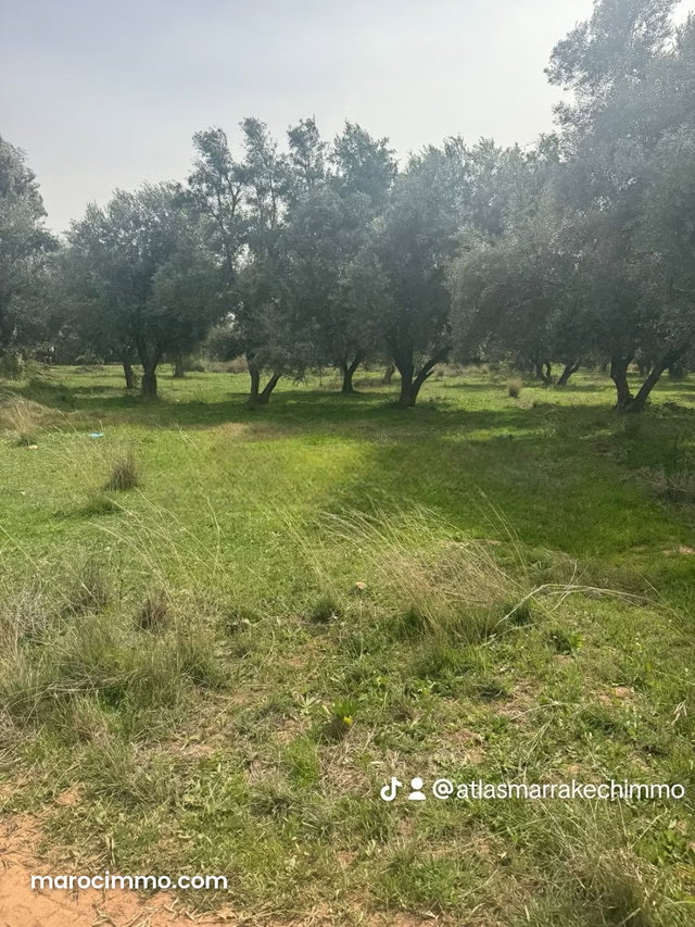 12 ha titled – potential 12 villas — 3