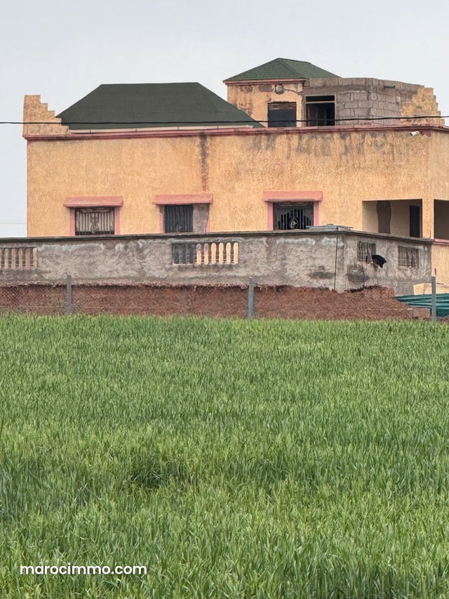 400 m² Villa on 1 Hectare Plot — 4
