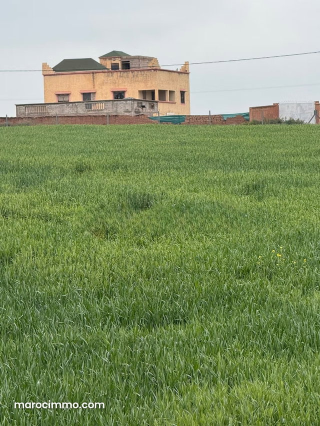 400 m² Villa on 1 Hectare Plot — 2