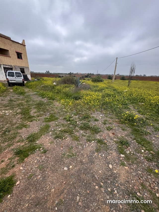400 m² Villa on 1 Hectare Plot — 3