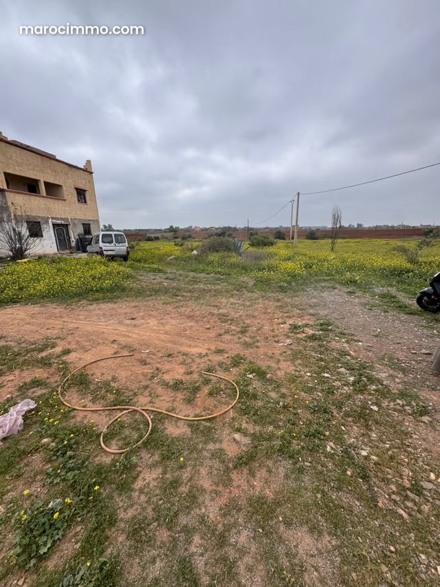 400 m² Villa on 1 Hectare Plot — 5