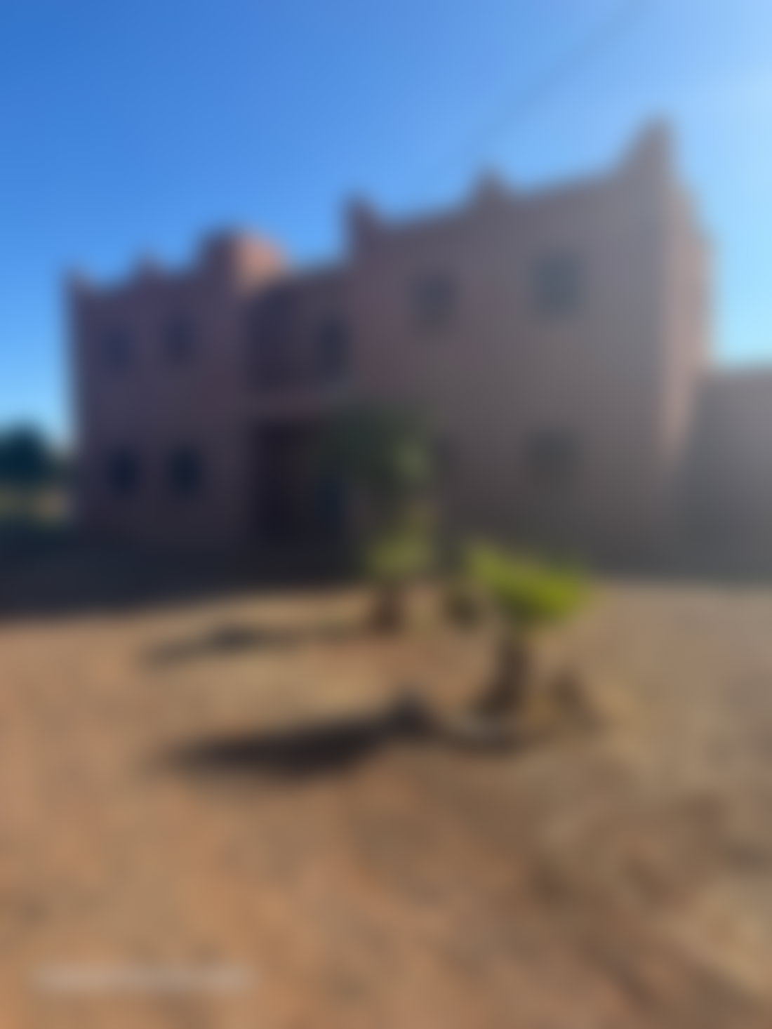مزرعة زيتون منتجة للبيع بطريق فاس مراكش