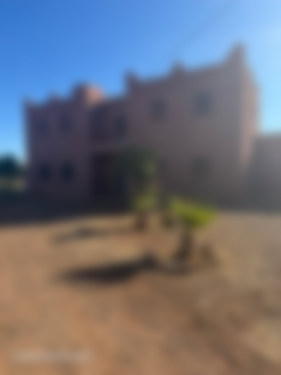 مزرعة زيتون منتجة للبيع بطريق فاس مراكش