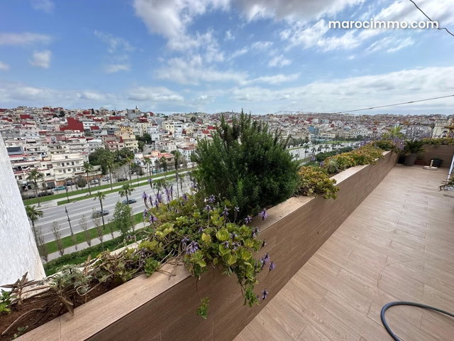 Appt 200m² 5 ch Casabarata terrasse — 3