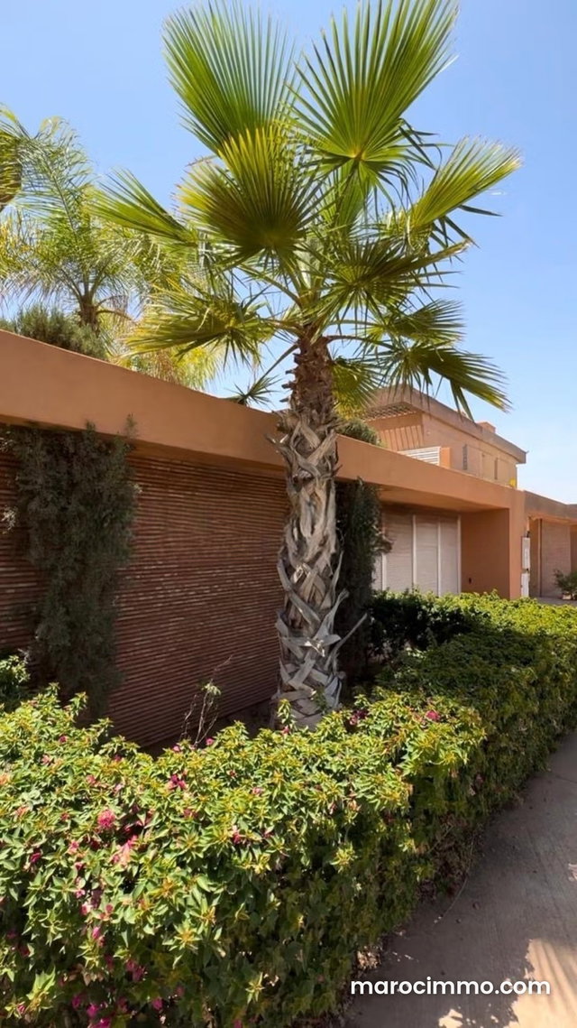 Villa avec piscine 400 m2 Alenza 1 — 3