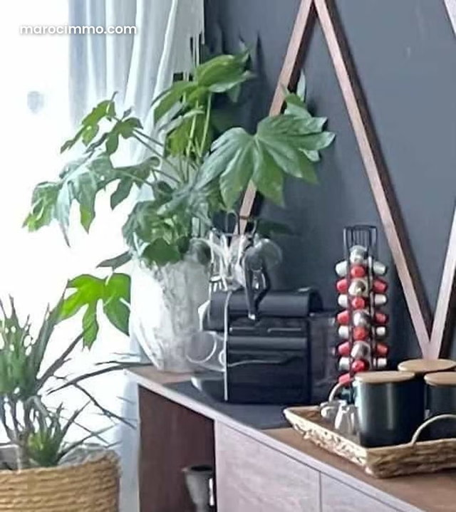 Appartement à Louer de 49.0 m² à Casablanca, Hopitaux — 5
