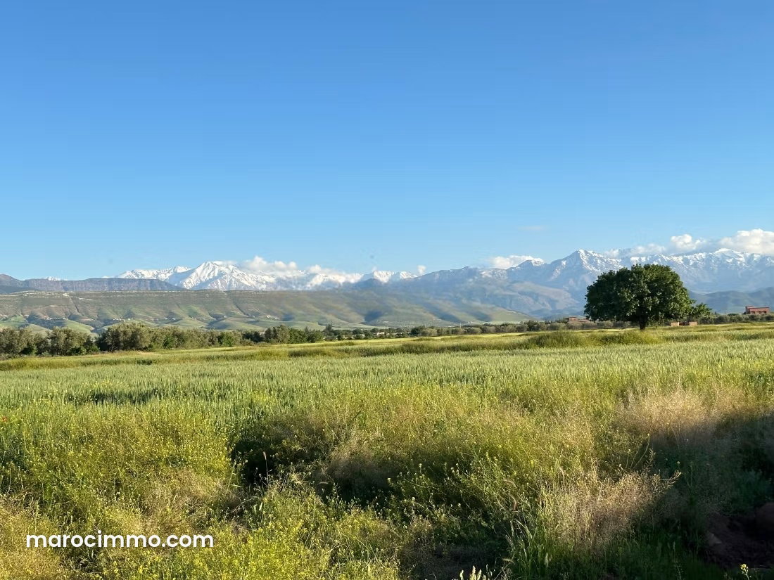 Terrain de 12 000 m² à vendre, Tamazouzte — Tamazouzte