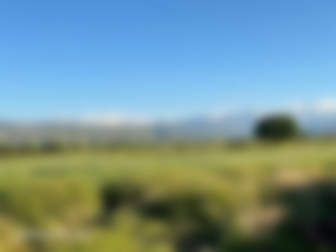 12,000 m² Plot of Land for Sale, Tamazouzte