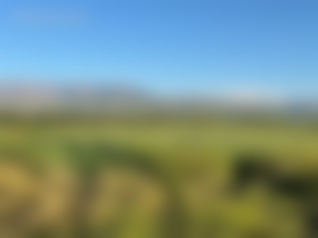 12,000 m² Plot of Land for Sale, Tamazouzte — 4