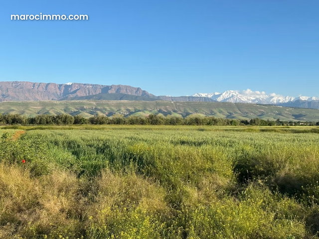Terrain en vente à Tamazouzte. Surface totale 12000 m² — 4