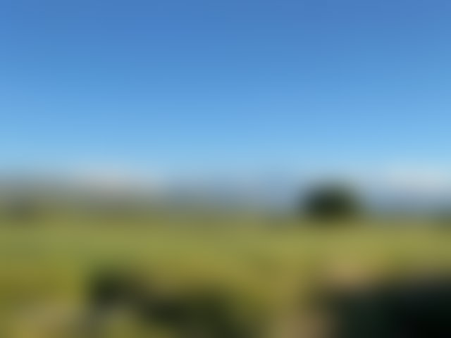 12,000 m² Plot of Land for Sale, Tamazouzte — 5