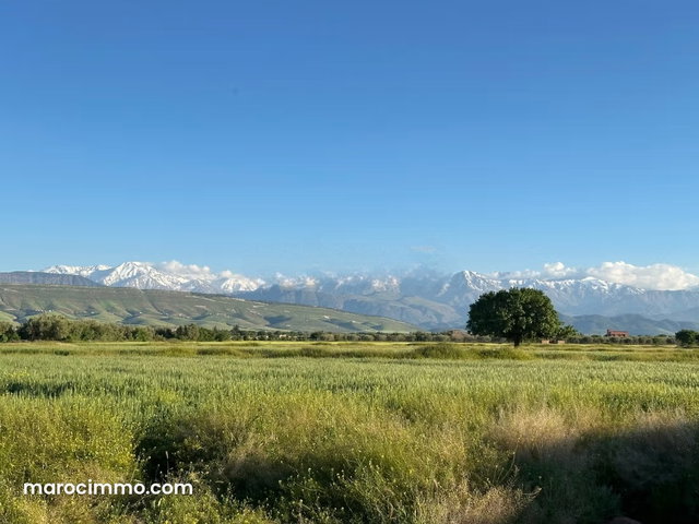 Terrain en vente à Tamazouzte. Surface totale 12000 m² — 5