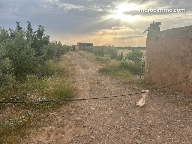 Terrain en vente à Route de Sidi abdelah ghayat. Surface de 110000 m² — 2