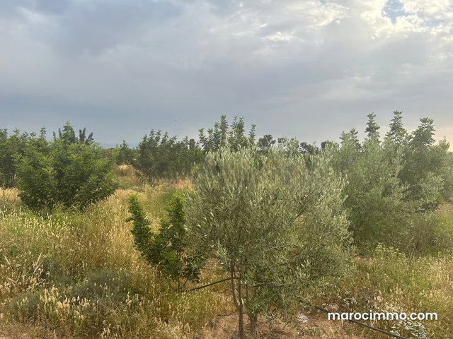 Terrain en vente à Route de Sidi abdelah ghayat. Surface de 110000 m² — 3