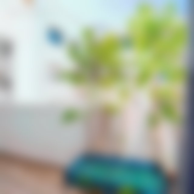 New 4-Room Apartment in Val Fleuri, Casablanca — 3