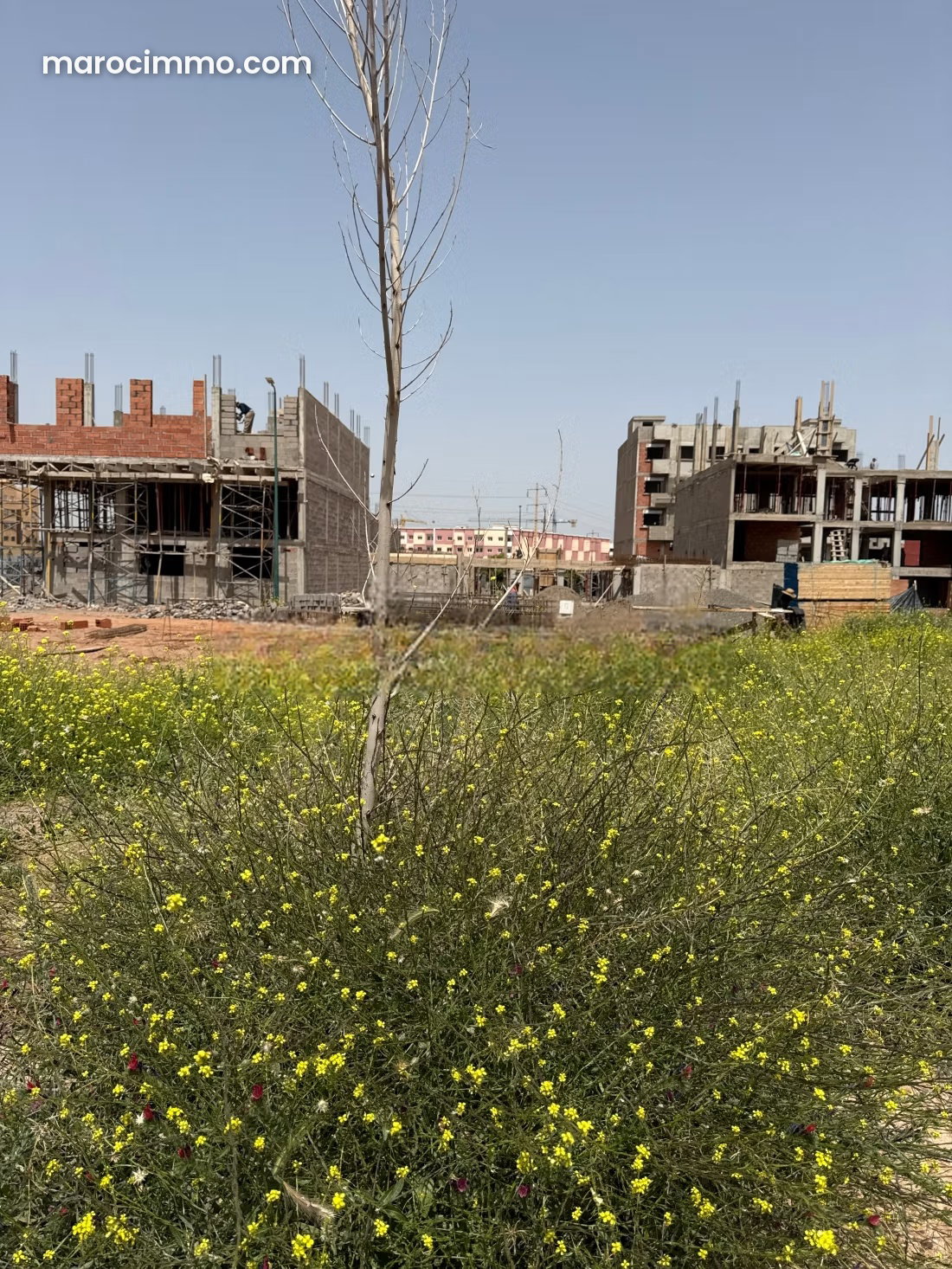 Terrain 500 m² à M'Hamid Marrakech belle opportunité — Marrakech