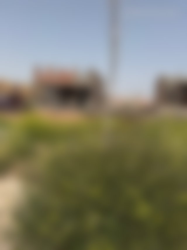 Terrain 500 m² à M'Hamid Marrakech belle opportunité — 2