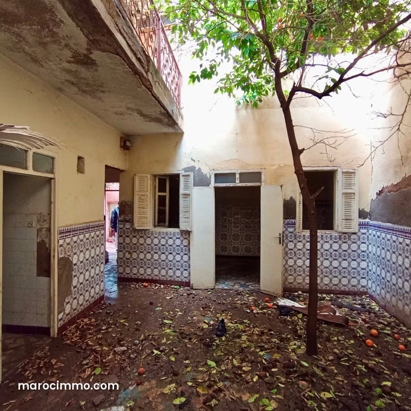 House to Renovate in Sidi Mansour, Marrakech, with Atlas Mountains Terrace — Marrakesh