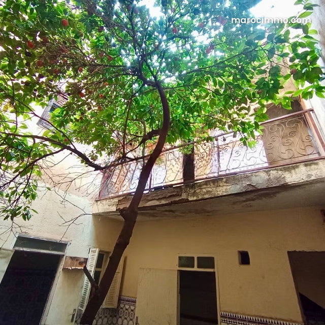 Riad à rénover avec magnifique vue sur l'ATLAS — 3