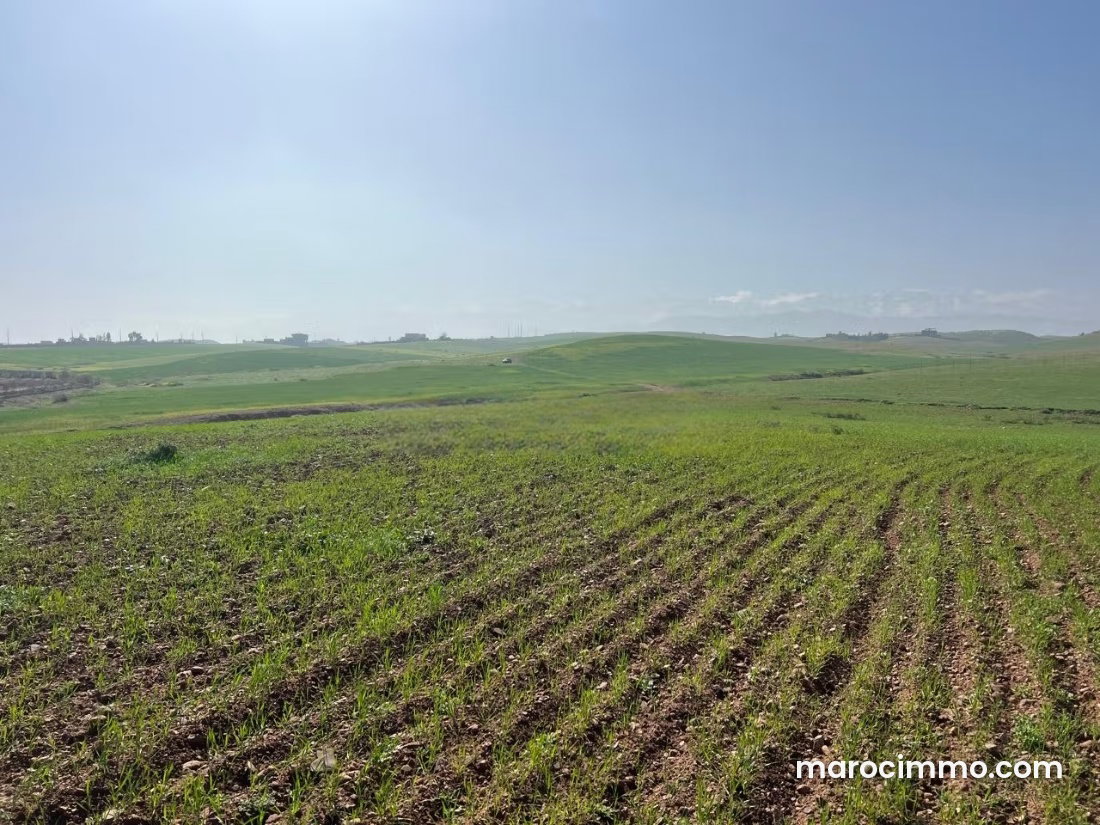 2.5 ha Plot with Panoramic Views near Marrakech — Marrakesh