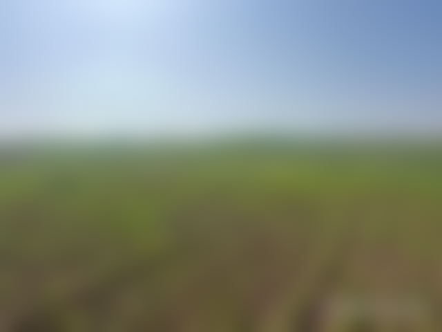 2.5 ha Plot with Panoramic Views near Marrakech — Marrakesh