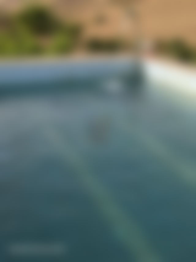 Agricultural Estate with Swimming Pool for Sale in Sidi Bettache — Sidi Bettache