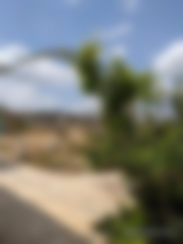 مزرعة فسيحة مع مسبح للبيع في سيدي بطاش — 2