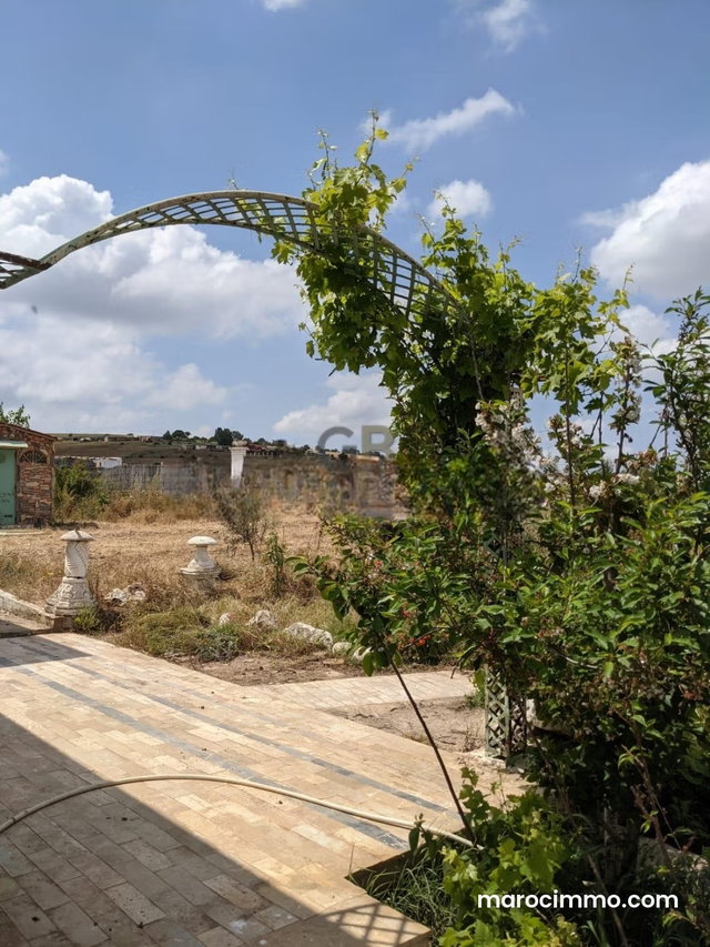 Une Ferme agricole sur la route de Sidi Betach — 2