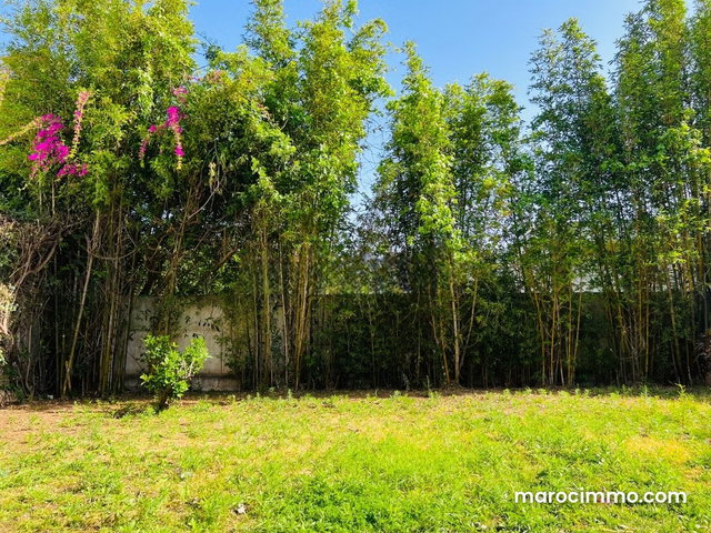Villa avec jardin à louer quartier Hassan centre ville Rabat — 3
