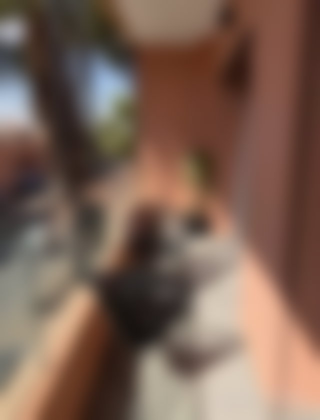شقة مفروشة مع مسبح للكراء بحي كيليز مراكش — 5