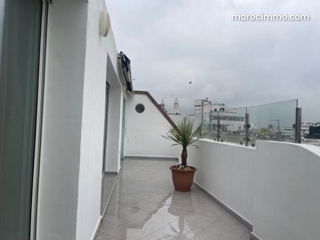 Dernier etage terasse soleil proche catedrale et parc de la ligue arabe — 3