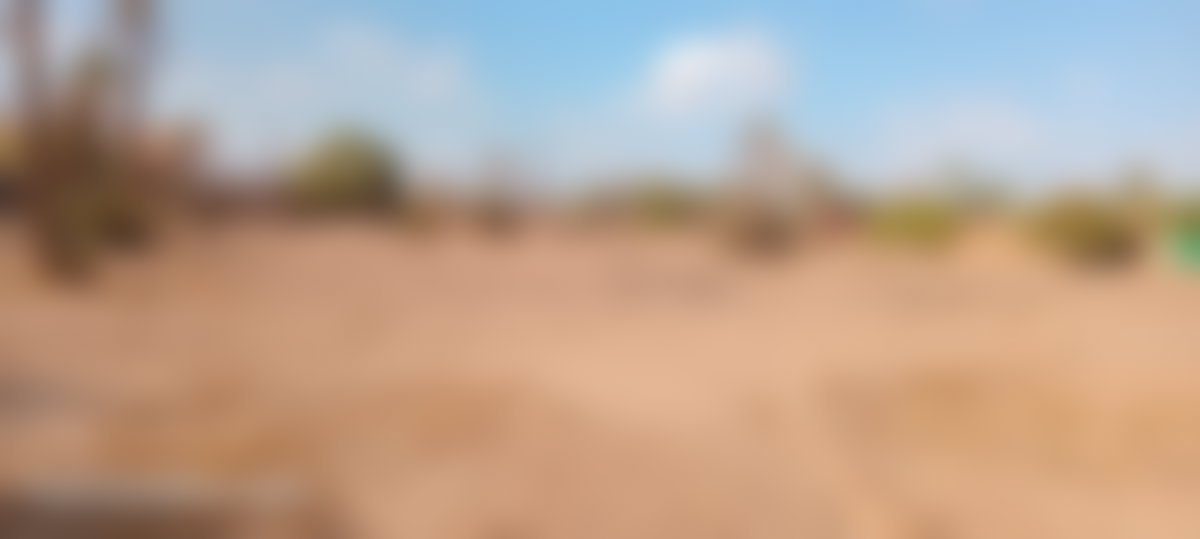 Terrain constructible 12 000 m², Palmeraie, Marrakech