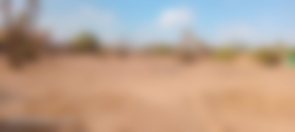 Terrain constructible 12 000 m², Palmeraie, Marrakech