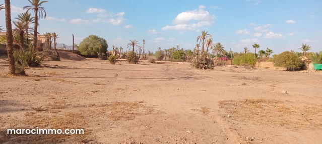 Terrain titre 12000 m² — Marrakech