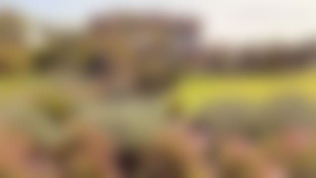 فيلا فاخرة مطلّة على غولف أملكيس بطريق ورزازات مراكش — مراكش