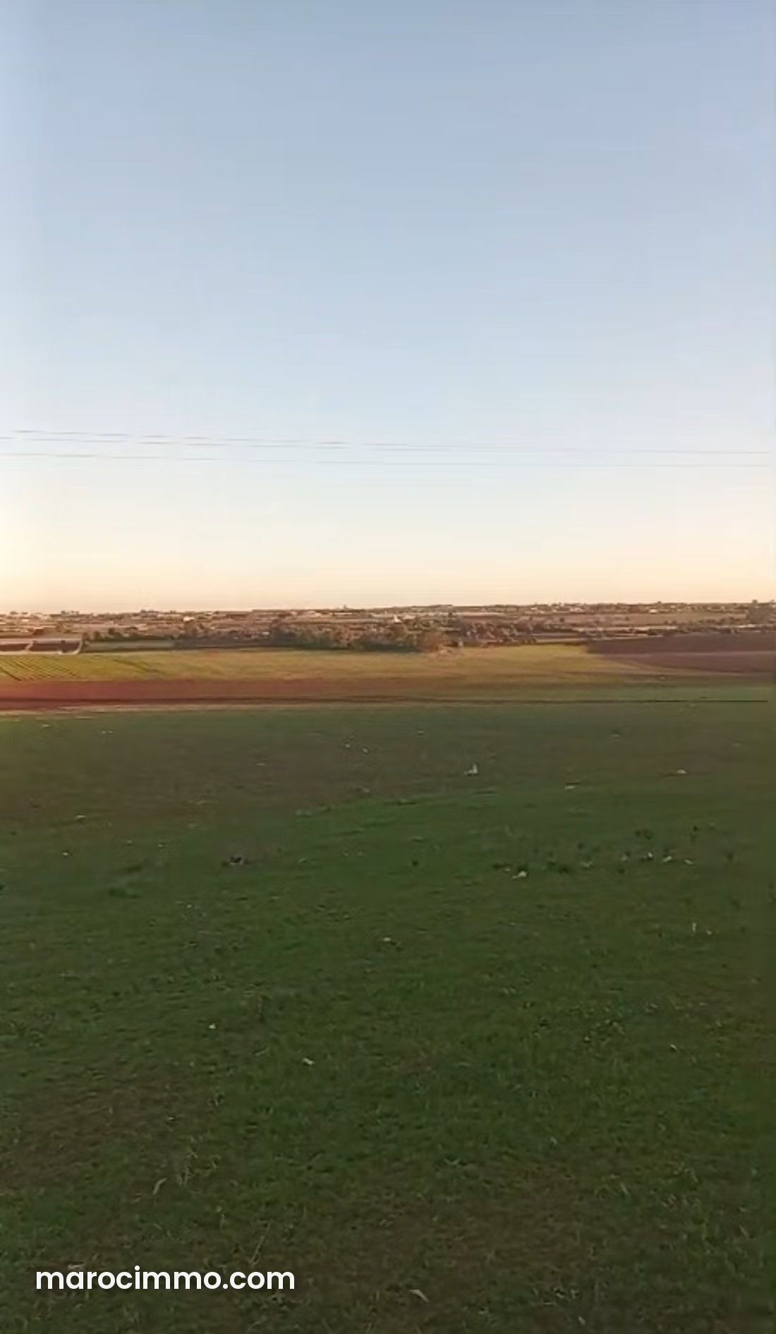 Ferme avec terrain d'un hectare à vendre à Bir Jdid — Bir Jdid