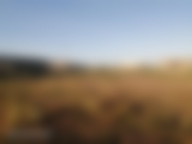 أرض صناعية واسعة للكراء ببرشيد — 2
