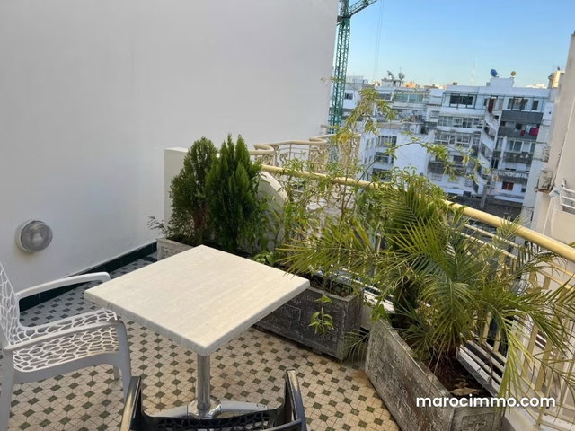 Superbe appartement à louer à Gauthier. 1 Pièce. Meublé — 2